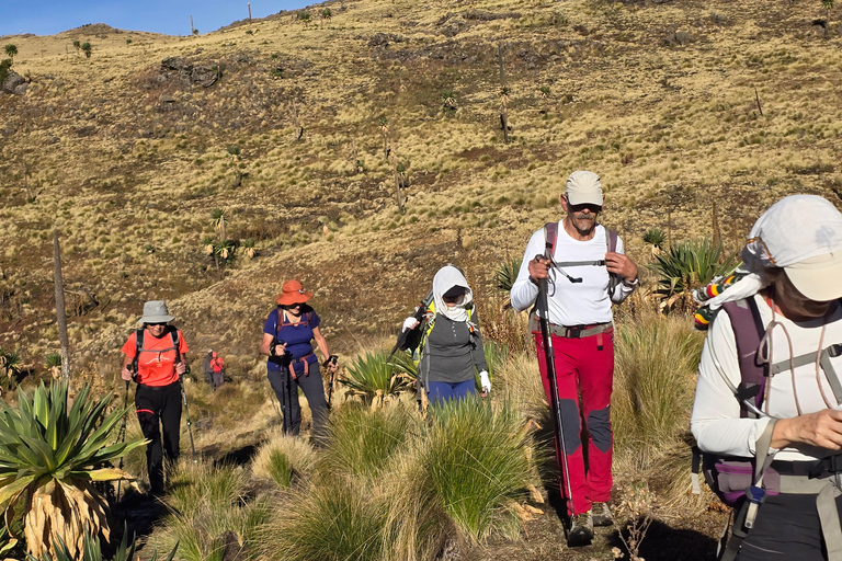 Äthiopien: 29-tägige Tour durch den Norden, Osten und Süden