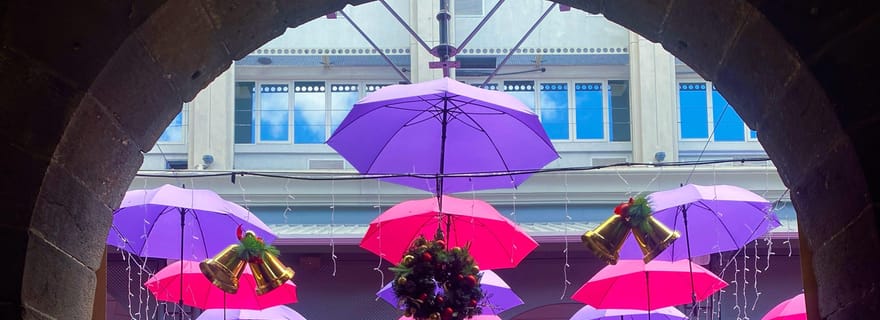 Île Maurice : odyssée culturelle privée dans le nord avec prise en charge à l'hôtel