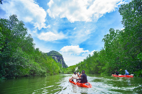 Vanuit Krabi: Kajakavontuur in de zeegrot van Bor Thor voor een hele dag