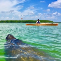 St Pete＆St Pete Beach，沿海皮划艇租船 - Housity