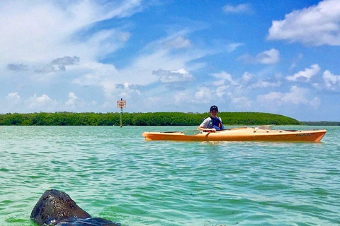 Tierra Verde FL: Coastal Kayaking Tour in Shell Key Single Kayak