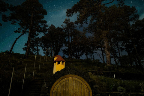 La Palma: Stargazing & Wine Tasting at Bodegas Teneguía