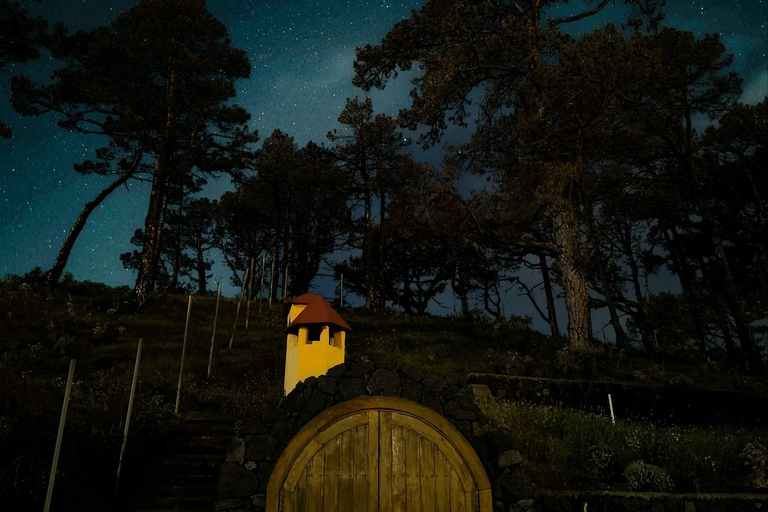 La Palma: Stargazing & Wine Tasting at Bodegas Teneguía