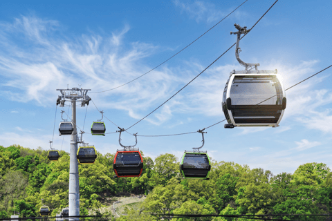Paju Day tour: DMZ Peace Gondola & Ginseng Farm Experience Dongdaemun Designer Hotel