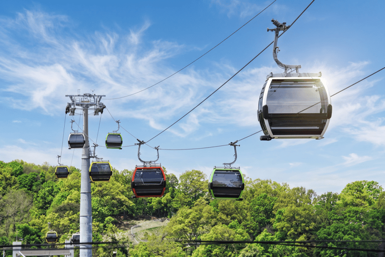 Paju Day tour: DMZ Peace Gondola & Ginseng Farm Experience Dongdaemun Designer Hotel