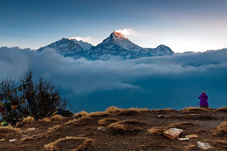 From Pokhara: Short 1 Night 2 Day Ghorepani Poon Hill Trek