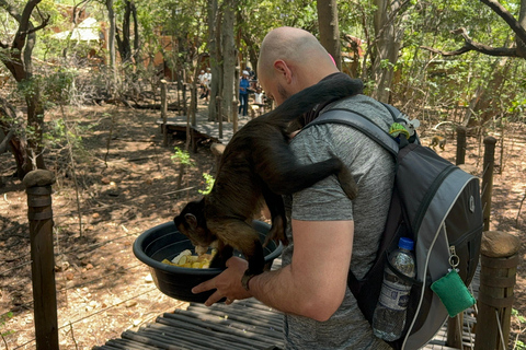 Vanuit Johannesburg: Dagtrip olifanten- en apenopvangcentrum