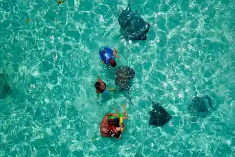 Grand Cayman: Stingray City Snorkel Tour with Drinks