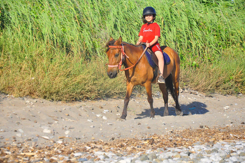 Fethiye: Forest or Sea Horse Riding Experience Fethiye: Horse Riding with Sea Experience