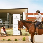 Jacob’s Creek Vineyard Horse Ride and Tasting