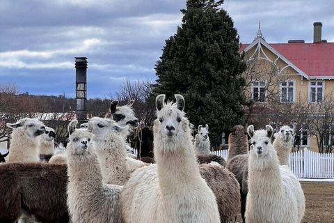 Laguna Blanca: Estancia Tour with Lamb Lunch
