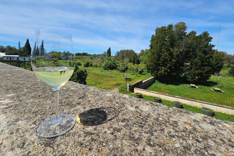 Lisbon: Évora (w/ Cathedral & Bones), Cartuxa & Cork Factory