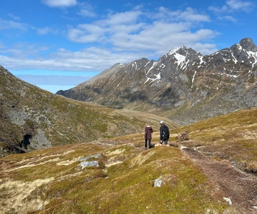 Islas Lofoten: Senderismo guiado por la naturaleza salvaje-Tour fácil