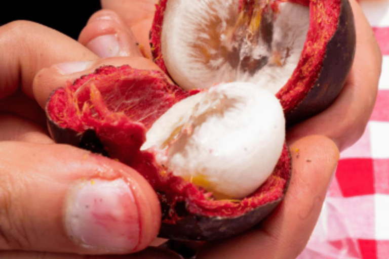 Bogota: Sky-High picnic on Bogota's highest helipad PRIVATE: Sky-High picnic on Bogota's highest helipad