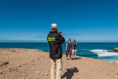 Fuerteventura: La Pared 3-uur durende Segway Tour