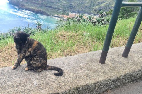 فونشال: جولة عائلية في جزيرة ماديراجولة عائلية في جزيرة ماديرا