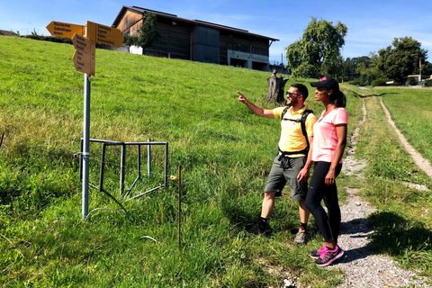 Lucerne : Visite de la ferme et dégustation de fromage