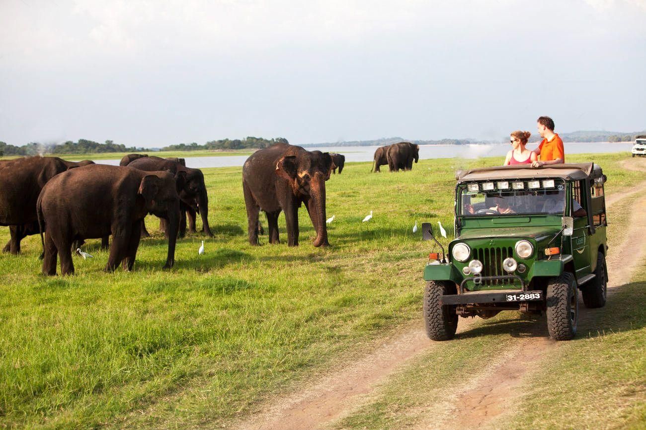 Sigiriya: Tagestour mit Jeep Safari von Trincomalee aus