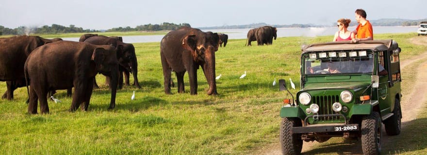 Sigiriya : Excursion d'une journée avec safari en jeep depuis Trincomalee