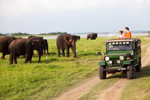Minneriya:Jeep Safari From Sigiriya