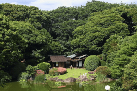 Tokyo National Museum Private Tour Tokyo National Museum Private Tour (2 hours)