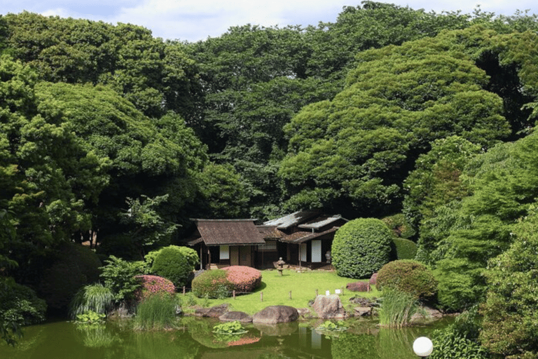 Tokyo National Museum Private Tour Tokyo National Museum Private Tour (2 hours)
