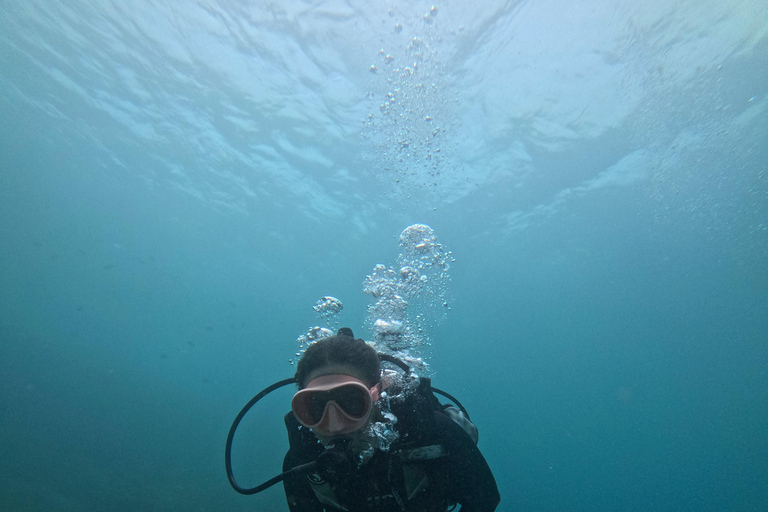 Parque Nacional Tayrona: Descubre la experiencia del submarinismoTour privado en inglés