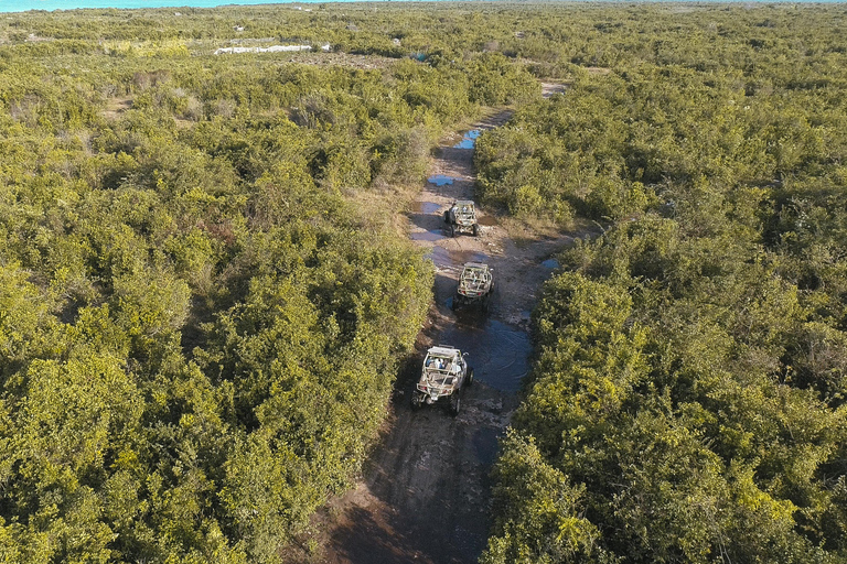 Zanzibar ultimata buggyäventyr