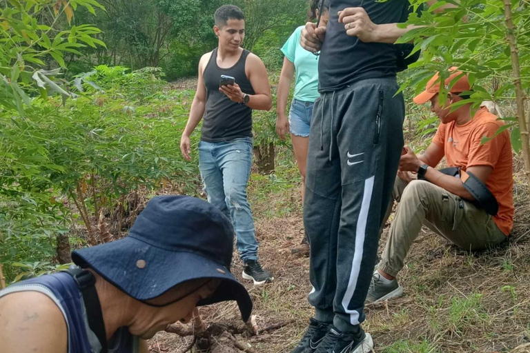 Explora los senderos de los charcones de tierra sagrada