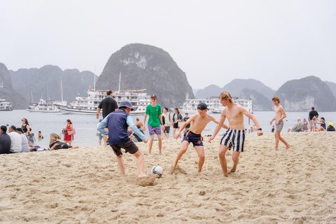 Hanoi: Dolphin 5-Star Family Cruise & Buffet in Ha Long Bay With Pick-up and Drop-off