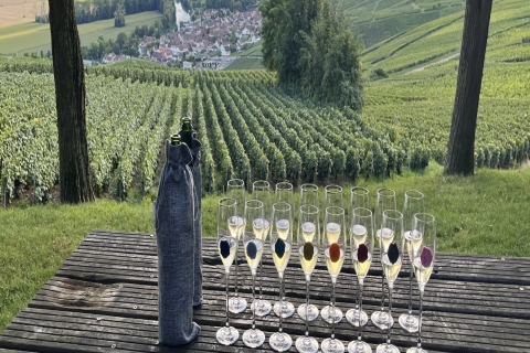 Reims and Champagne Tasting Full-Day Tour from Paris