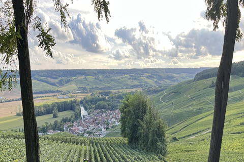 Från Paris: Heldagstur med Reims och champagneprovningDelad rundtur