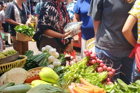 Xochimilco: Mercado, comida e natureza ¡Tudo incluído! Visita
