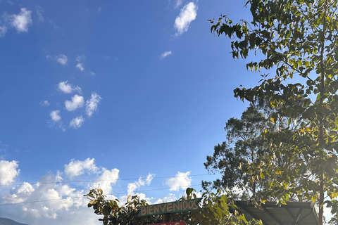 Medellín: 2-Day Jardín and Tapartó Tour with Accommodation