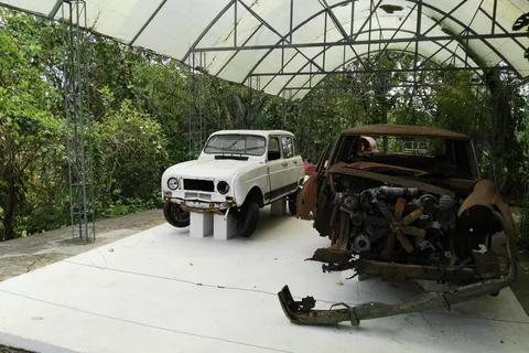 Hacienda Napoles: Excursão particular de dia inteiro saindo de Medellín