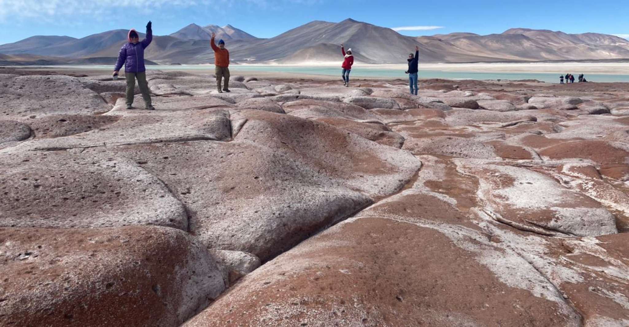 Piedras Rojas + lagunas altiplánicas en autobús Safari - Housity