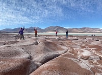 Piedras Rojas + Altiplanic Lagunes in Safari Bus - Housity