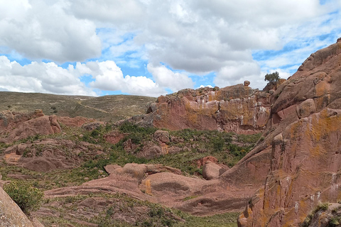 Z Puno: Wycieczka do Chucuito, Molloco i Aramu Muru
