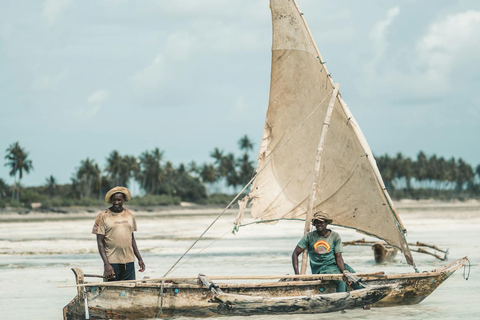 Zanzibar: A 1000 Hands Village Tour with Turtle or seaweed