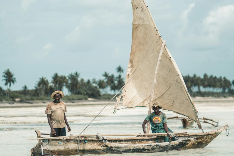 Zanzibar: A 1000 Hands Village Tour with Turtle or seaweed