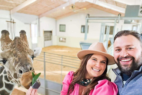 Fredericksburg: Longneck Manor Giraffe & Rhino Encounter