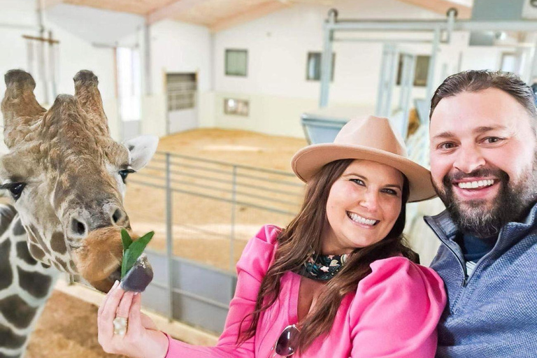 Fredericksburg: Longneck Manor Giraffe & Rhino Encounter