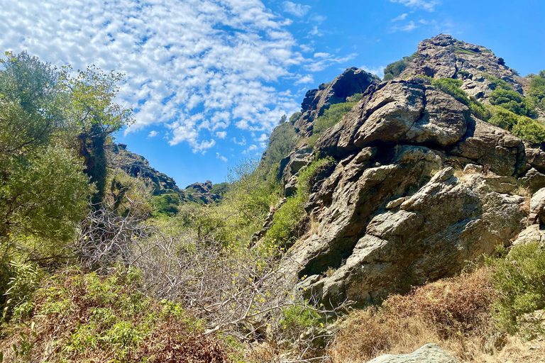 Crète : Randonnée guidée aux chutes d'eau de Richtis