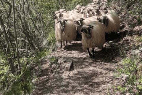 From Sarajevo: Lukomir Village Guided Hiking Tour