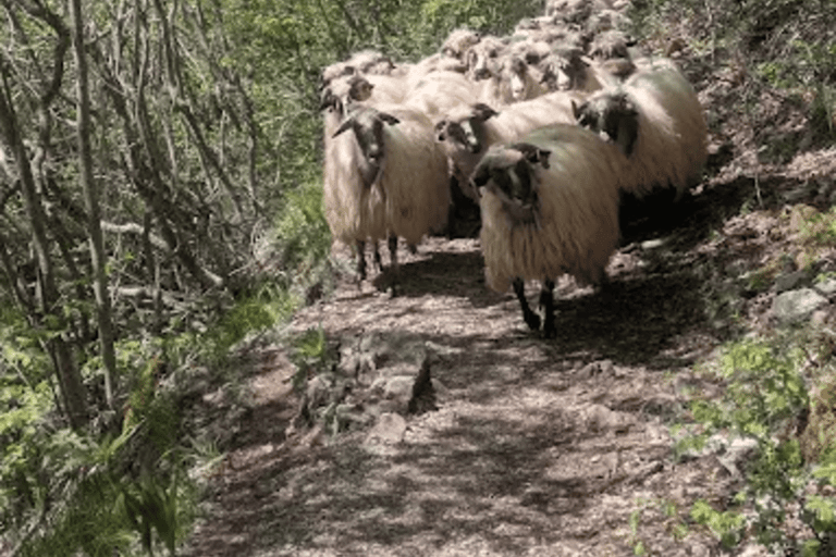 From Sarajevo: Lukomir Village Guided Hiking Tour