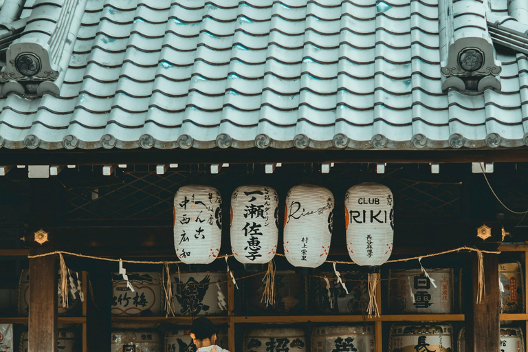 Osaka: Kyoto / Nara Custom Walking Tour in Public Transport