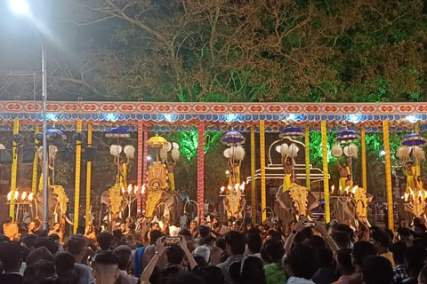 Kochi: Wycieczka po mieście