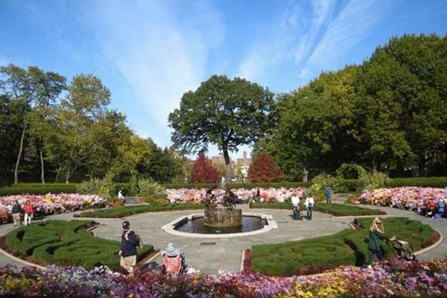 New York City : Central Park Walking Tour With A Guide - New York City: 2 Hours Central Park Small Group Walking Tour