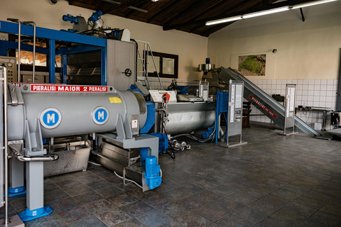 Corfou : Expérience de l'huile d'olive - Le moulin à huile du gouverneurCorfou : découverte huile d'olive au Governor's Olive Mill