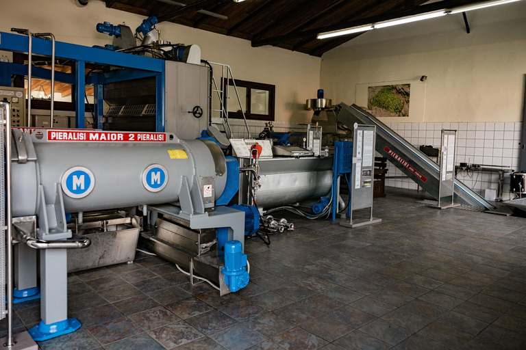 Corfou : Expérience de l'huile d'olive - Le moulin à huile du gouverneurCorfou : découverte huile d'olive au Governor's Olive Mill